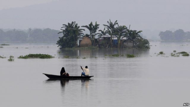 Hindistan, Assam eyaleti, 17 Ağustos 2014. Fotoğraf: AFP
