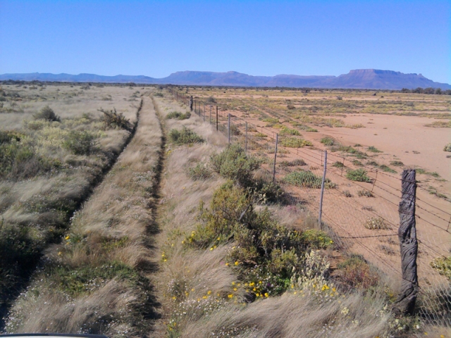 Güney Afrika'nın Karoo bölgesinden bir fotoğraf. Yıllık ortalama 230 mm yağış alan bölgede telin sol tarafındaki arazi Bütüncül Yönetim'le idare ediliyor, sağ tarafta ise konvansiyonel otlatma yapılıyor