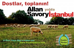 Allan Savory konferansı için Anadolu Meraları'nın hazırladığı duyuru afişlerinden biri. Fotoğraf:  Anadolu Meraları, Uygulama Arazisi