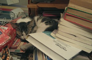 Ne kitapsız, ne kedisiz