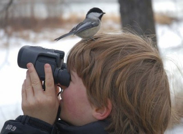 Kuş gözlemciliği