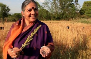 Vandana Shiva kendisini tohum özgürlüğü ve gıda egemenliğine adamış bîr aktivist