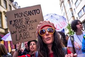 GDO karşıtı eylemden bir pankart. 'Monsanto, madem ürünlerinle bu kadar gurur duyuyorsun, neden etiketeyazmıyorsun?
