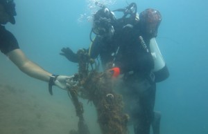 Fotoğraf: GYK & AKD Hayalet Ağ Arşivi Projeyle, körfezde yaklaşık 5 hektarlık bir alanda bulunan ağlar temizlenerek denizel ortamdan uzaklaştırıldı 