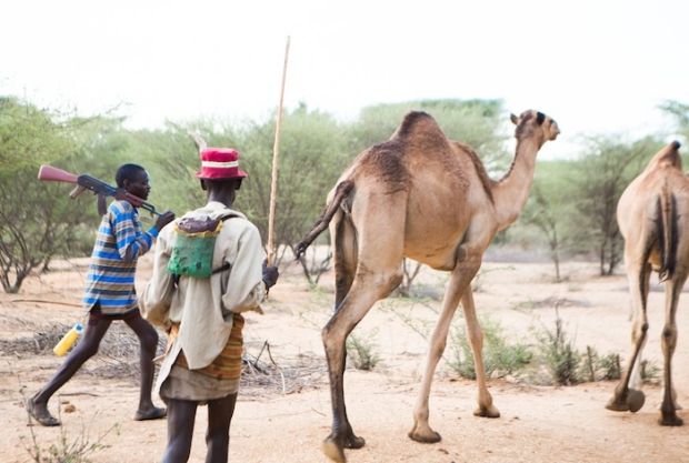 2 Turkanalı çoban develerini güdüyor