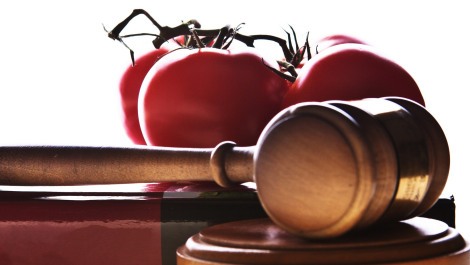 tomatoes-and-gavel