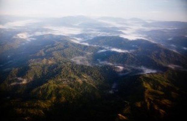 Güneş yükseldikçe kaybolan bulut ve sis, Kuna Yala’nın ağaçlarla kaplı dağlarını göz önüne sermekte. Panama’nın yerli Kuna halkı yüzlerce yıldır ormanlarını sürdürülebilir bir biçimde ve ortaklaşarak kullanmakta ve bu sayede Orta Amerika’nın en iyi korunmuş balta girmemiş ormanları bu bölgede yer almakta. Fotoğraf: Roberto (Bear) Guerra
