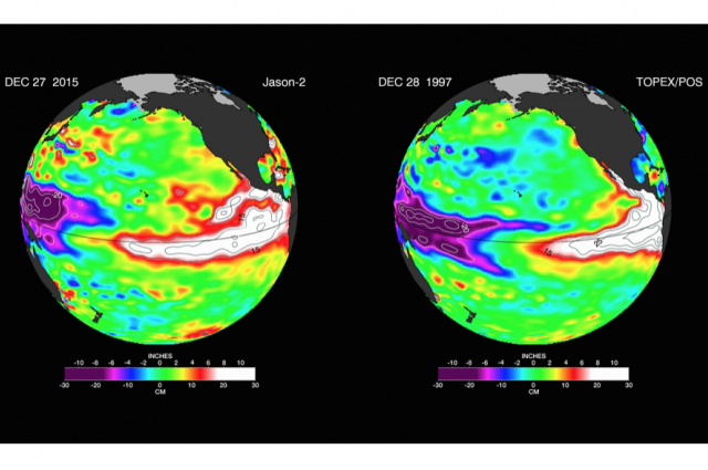 (Solda) Mevcut El Niño ve (sağda) 1997’de gerçekleşen El Niño karşılaştırması Fotoğraf: NASA