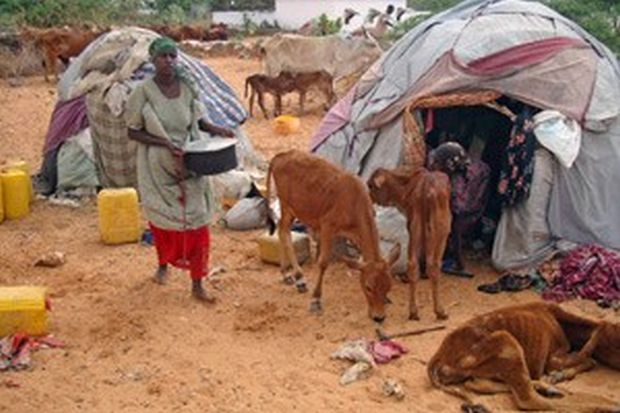 Çadırı önünde Somalili bir kadın. Görsel: FAO