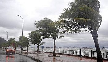 iklim degisiyor turkiye tropikal iklime geciyor yesil gazete