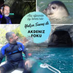 9. Yalçın Savaş ile Akdeniz Foku