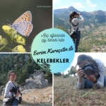 10. Evrim Karaçetin ile Kelebekler