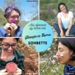 12 – Güneşin ve Burcu sohbette