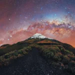 “GALACTIC KIWI