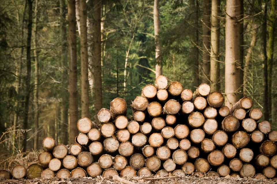 İsviçre'de halka ani elektirk kesintilerine karşı odun ve mum depolamaları tavsiye edildi. 