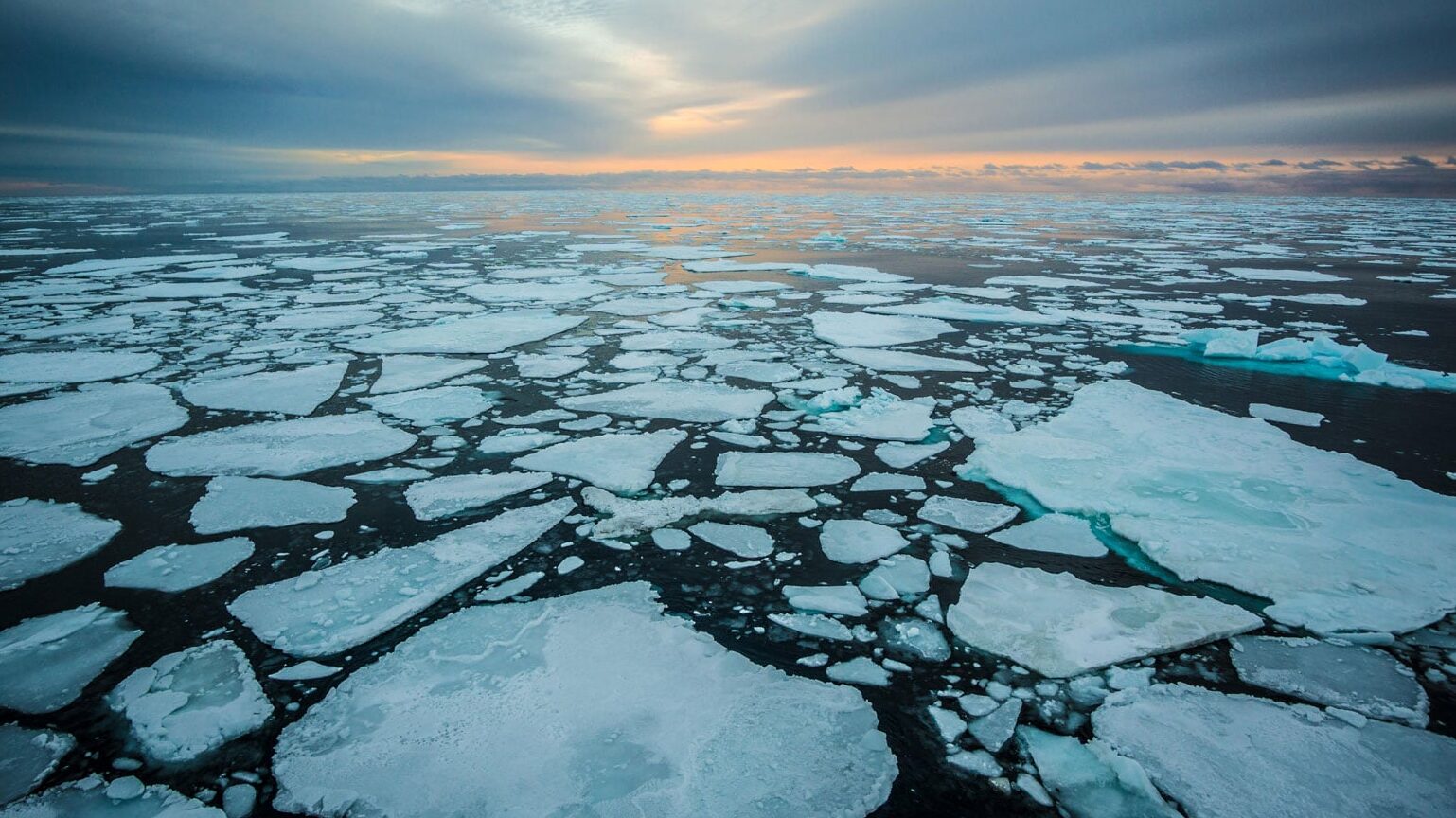 Северный Ледовитый океан площадь льдов Арктики