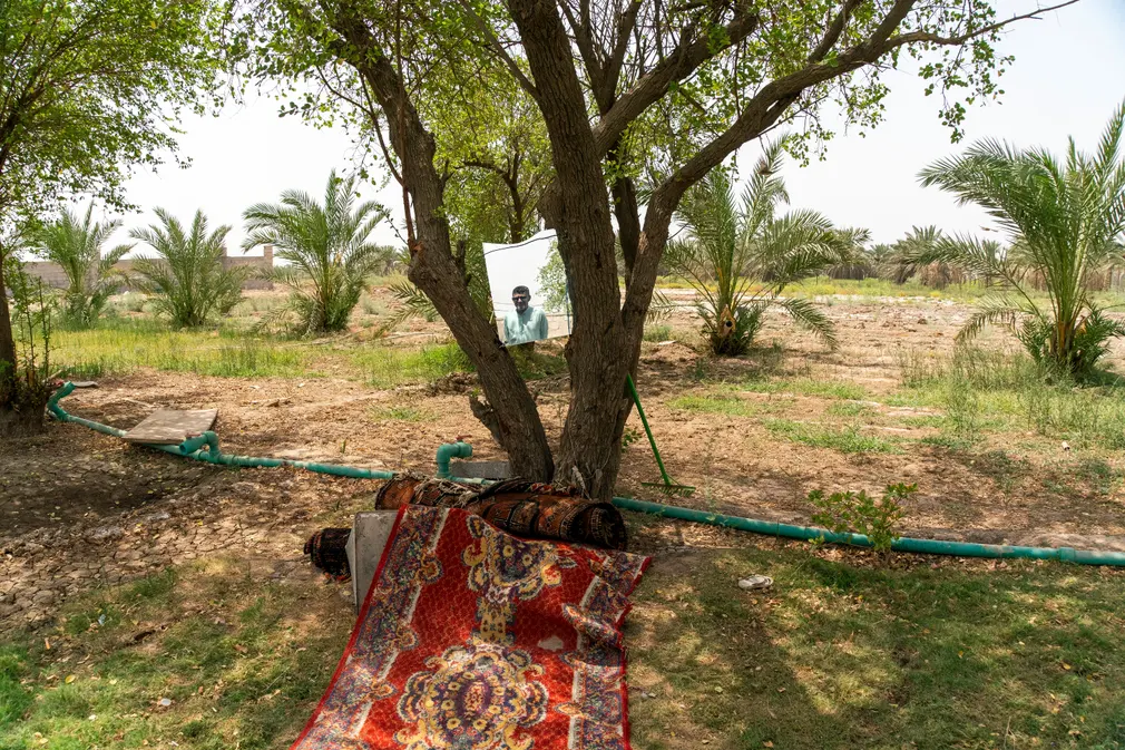 52 yaşındaki Satar Jabar’ın, ağaca yerleştirilmiş aynaya yansıması görülüyor. Çalışamıyor, bu yüzden aileyi geçindirmesi konusunda oğluna güveniyor. Eşinin çalışmasına izin vermiyor. Aile, Al Musharrah kasabasının dışında ayda 200 bin dinara bir ev kiralıyor. Jabar, “Bataklıklar cennet gibidir” diyor ve ekliyor:“Kendimizi krallar gibi hissettik, yani bir şeye ihtiyacımız olursa anında alırdık. Şehirden insanlar dinlenmek ve temiz hava almak için ülkemizi ziyarete gelirdi. Şimdi tam tersi. Bazı insanlar şehre taşınırken çok bunalıma giriyor. İş yok, yemek yok.”