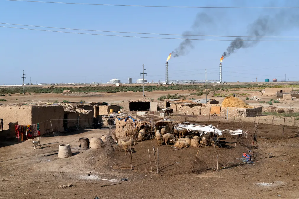 Irak petrol endüstrisinin bazı bacaları, bir zamanlar biyoçeşitliliğe sahip bataklıkların feci durumuna zemin oluşturuyor.
