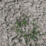 IMAGE 2023-01-09 13:14:56
