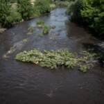 IMAGE 2023-01-09 13:15:05