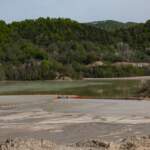 IMAGE 2023-01-09 13:15:53