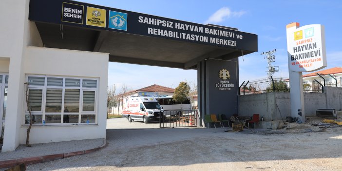 Konya'da köpeklere işkence edilen'rehabilitasyon'