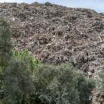 IMAGE 2023-04-24 18:24:29