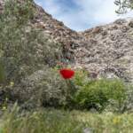 IMAGE 2023-04-24 18:24:36