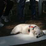IMAGE 2023-05-22 14:07:23