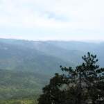 IMAGE 2023-05-22 14:18:56