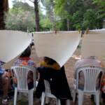 IMAGE 2023-05-22 14:22:45