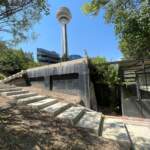 botanik-merdiven-