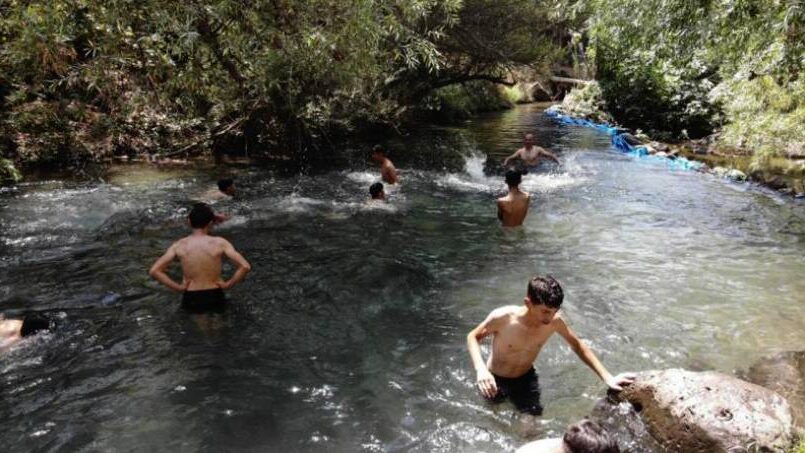 Türkiye'nin yeni sıcaklık rekoru kırıldı: Hatay'ın Hassa ilçesi 50°C'yi  gördü