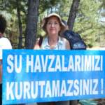 IMAGE 2023-08-11 17:04:29