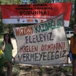 IMAGE 2023-08-11 17:04:54