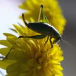 IMAGE 2023-08-11 17:10:32