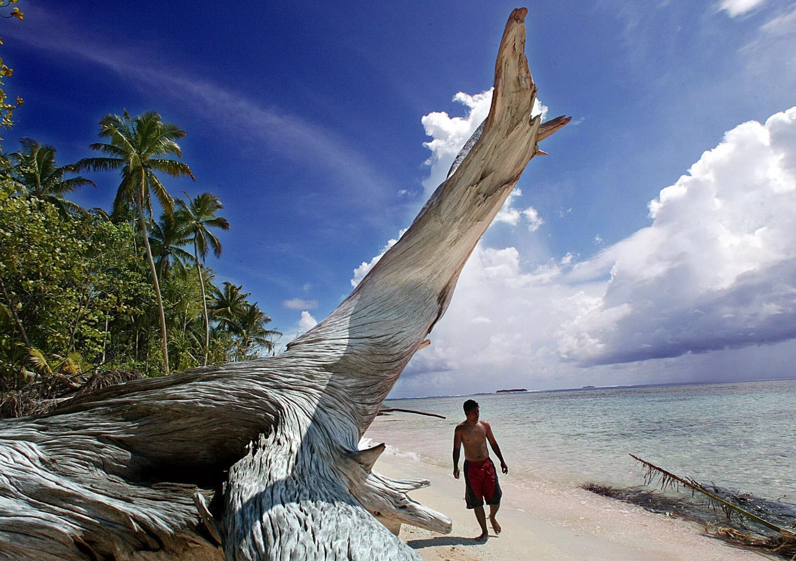 Fotoğraf: Torsten Blackwood, AFP - Tuvalu/Avustralya, iklim vizesi