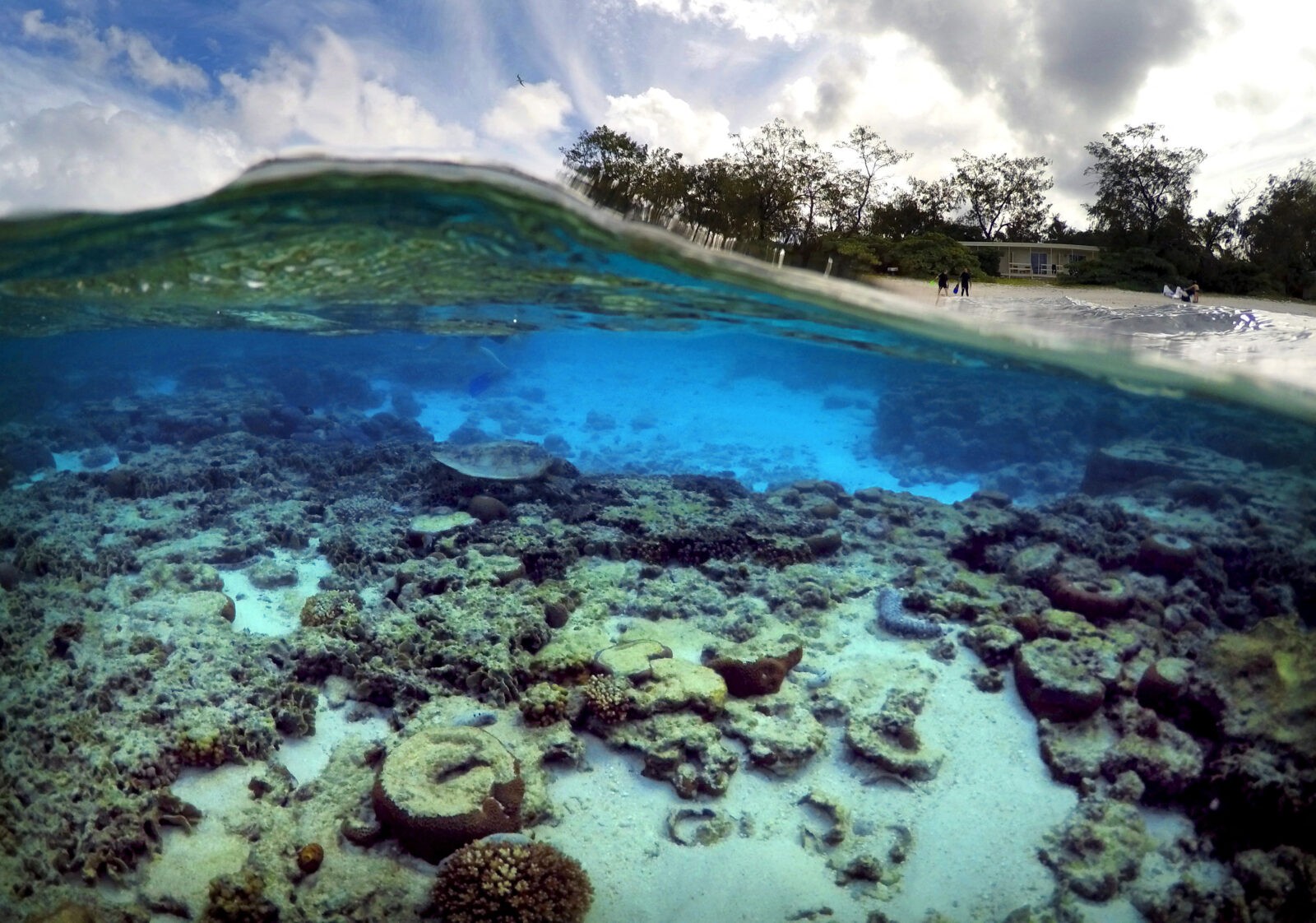 Коралловый риф протянувшийся вдоль восточной окраины материка. Большой Барьерный риф. Барьерный риф в Австралии. Большой Барьерный риф (ББР), Австралия. Большой коралловый риф в Австралии.