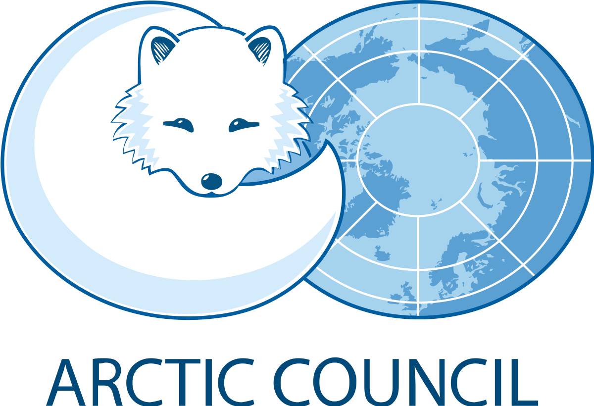 arktik konseyi