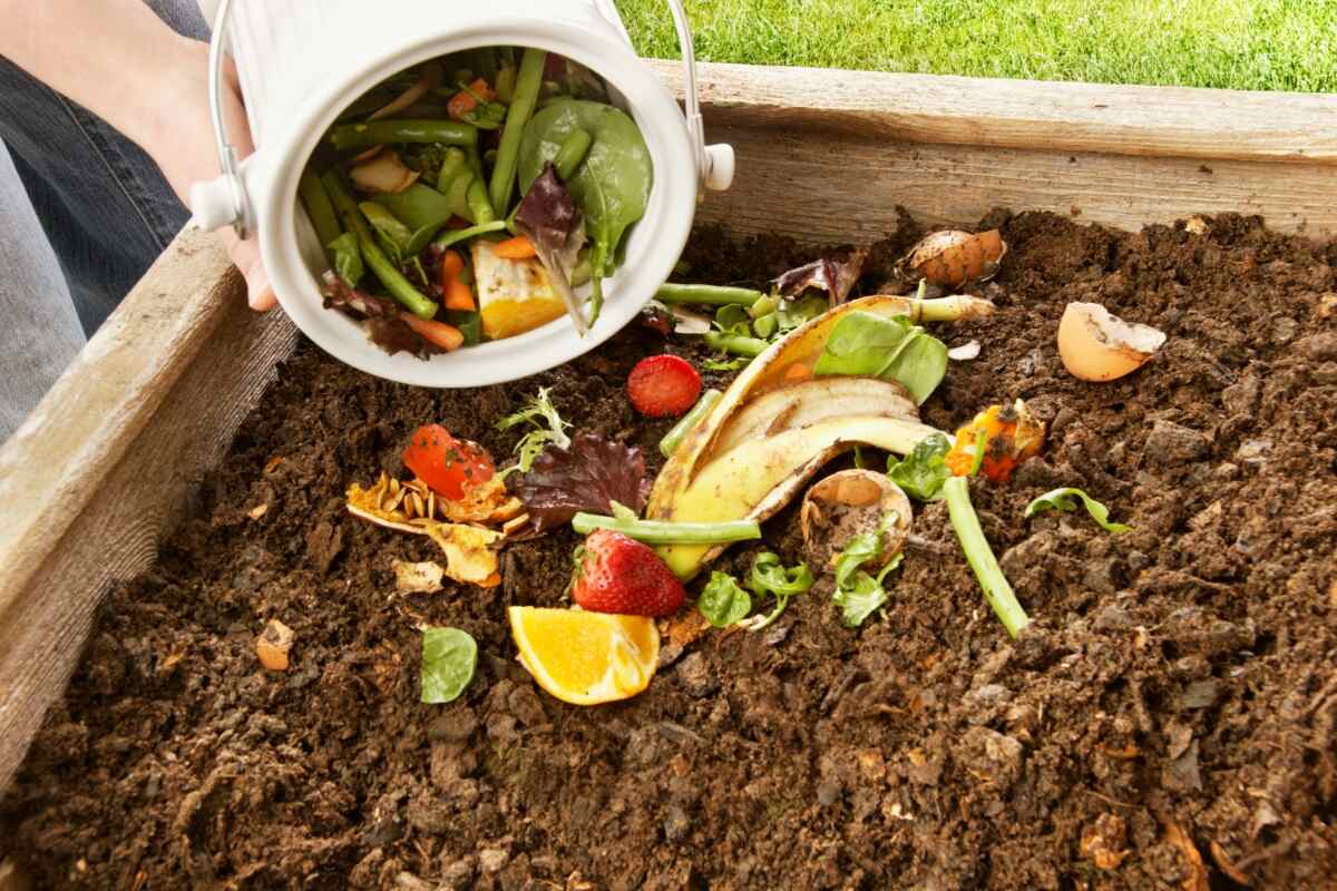 evsel atık kompost