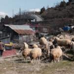 Şubat 2024, İliç, Erzincan – Fotoğraf: Cansu Acar
