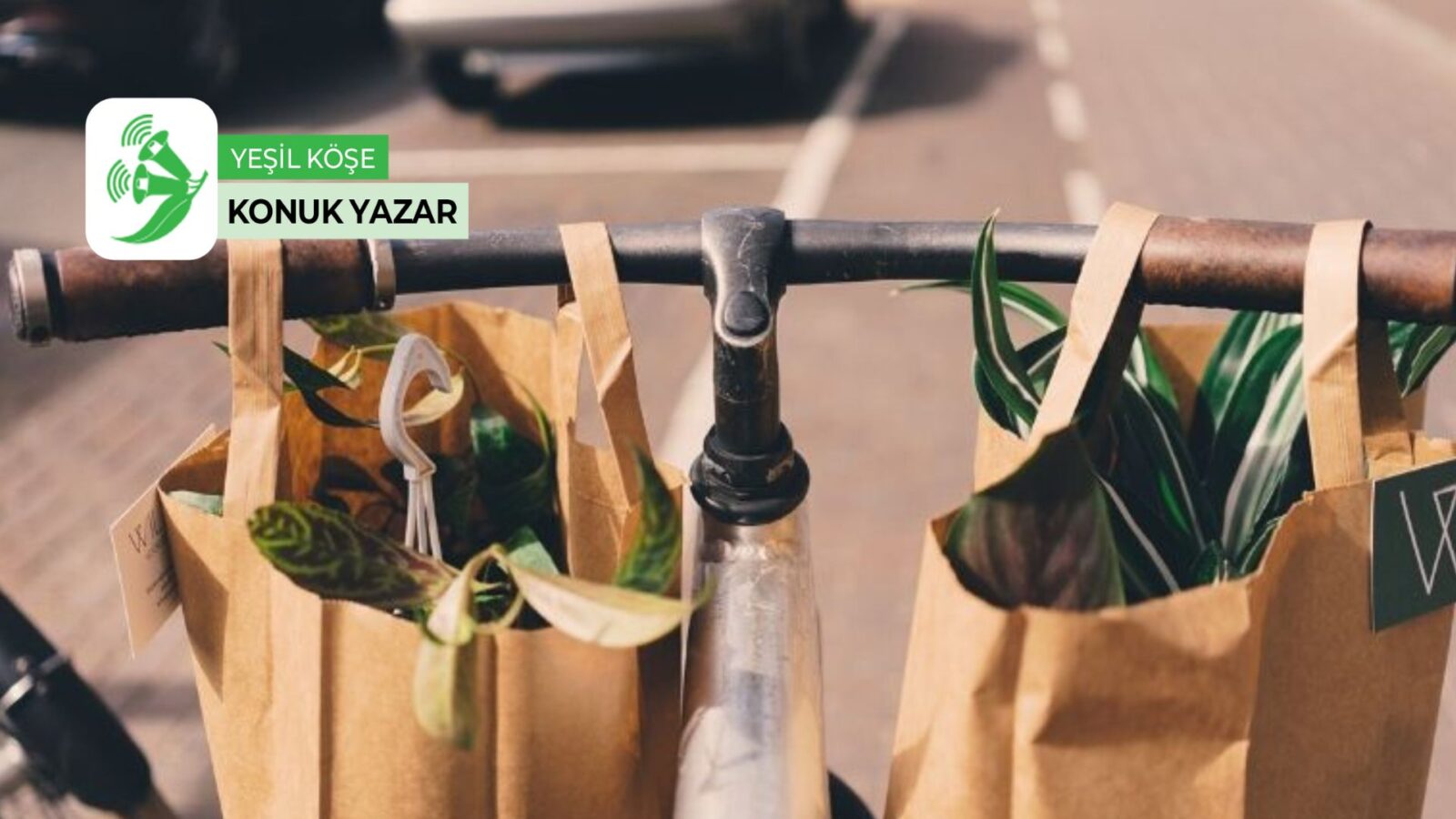 ‘Çevre yanlısı’ davranışların önündeki bilişsel kısıtlar üzerine… – Seda Aksümer