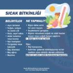 sıcakbitkinliği