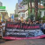 izmir-sokakta-yasayan-hayvanlar