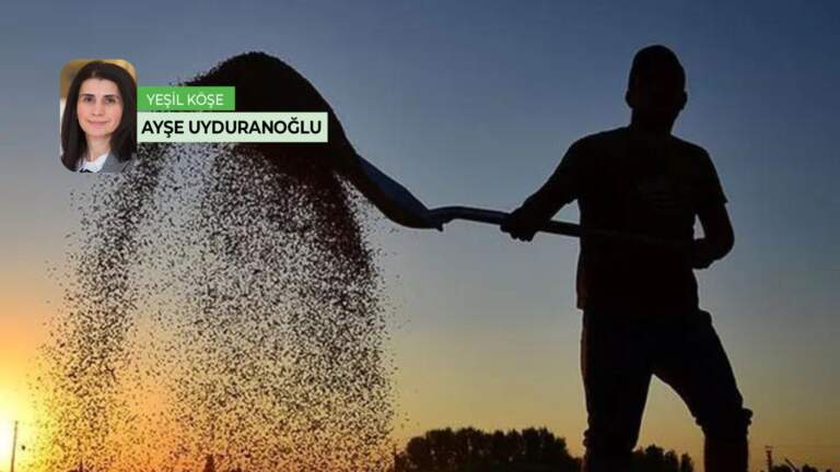 Yandı Çukurova yandı