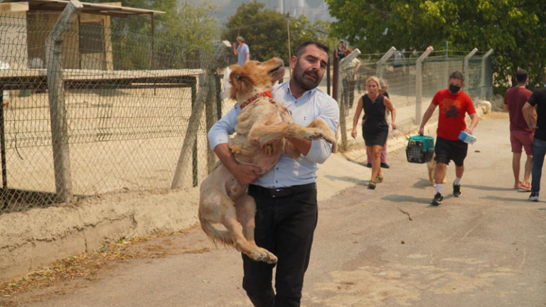 Karşıyaka Belediyesi’nden ‘hayvanları sahiplenin’ çağrısı