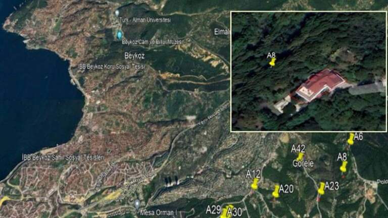 Beykoz’un ormanlık alanlarının orman dışına çıkarılmasına dava açıldı