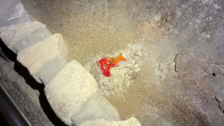 Atılmış bir cips paketi, bir mağara ekosistemini nasıl harap eder?
