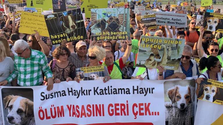 Katliam yasası’na karşı hak savunucuları bir kez daha meydanda: Biz bitti demeden bitmez!