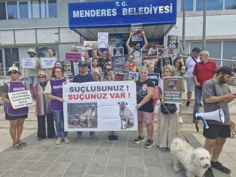 İzmir’de gebe bir köpeği asarak katlettiler
